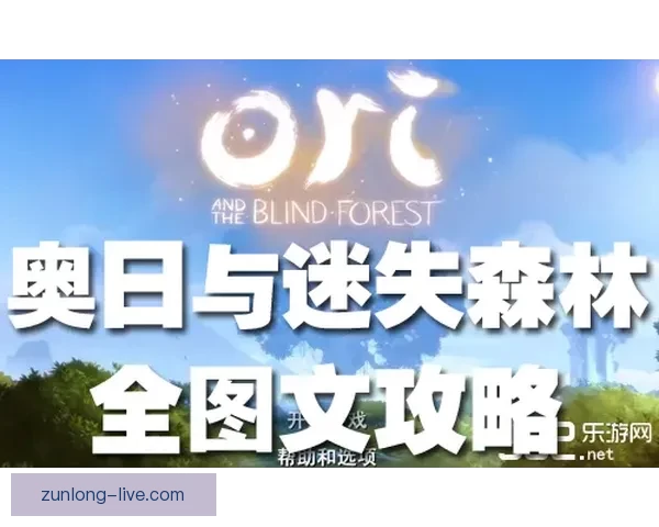 精选最新安全可靠世界杯竞猜网站推荐与玩法技巧全面解析指南
